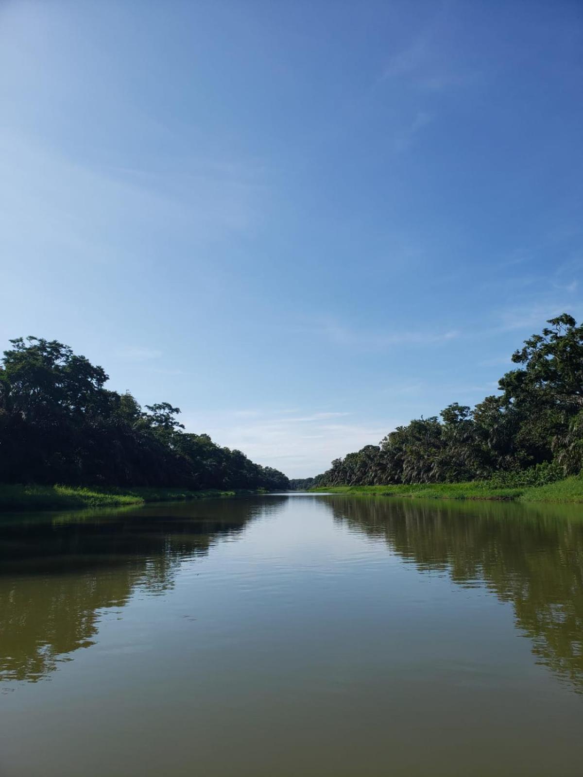 Alma Del Bosque Hotel Tortuguero Buitenkant foto